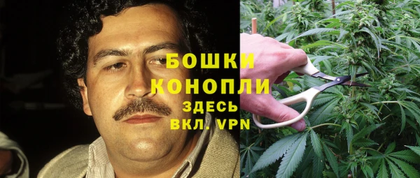 Альфа ПВП Бородино