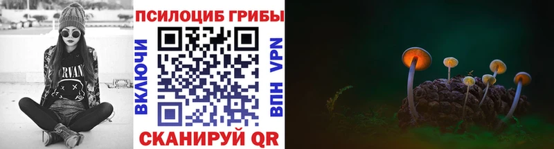 Галлюциногенные грибы прущие грибы  Городец 